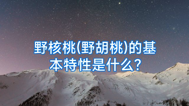 野核桃(野胡桃)的基本特性是什么?