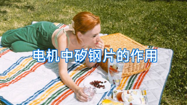 电机中矽钢片的作用