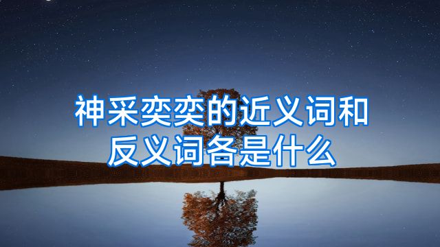 神采奕奕的近义词和反义词各是什么