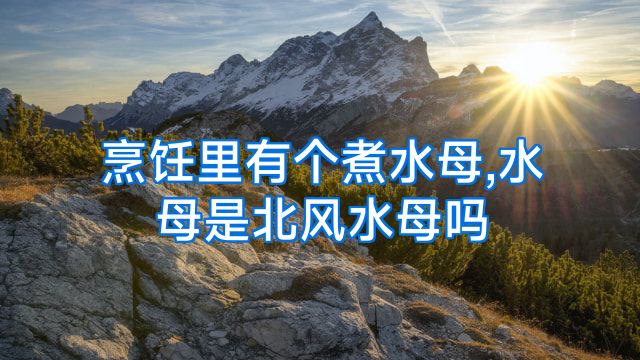 烹饪里有个煮水母,水母是北风水母吗