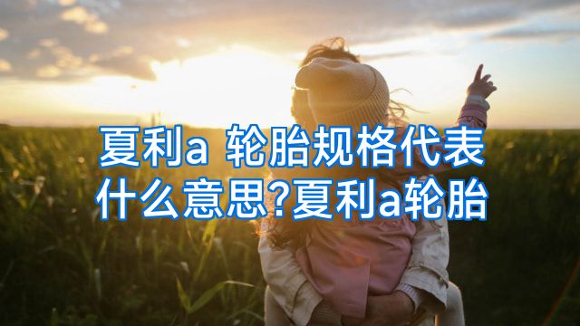 夏利a 轮胎规格代表什么意思?夏利a轮胎