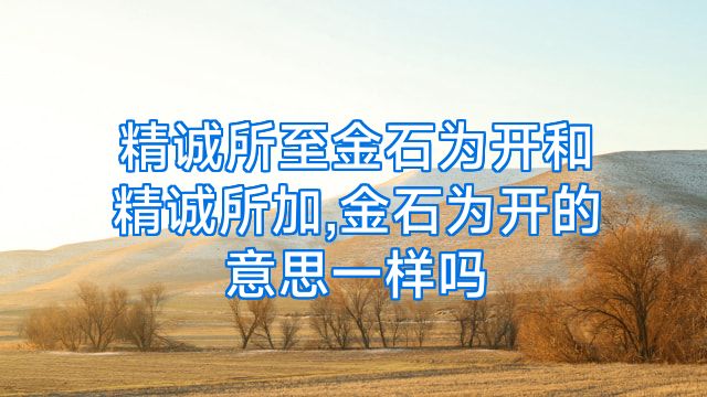 精诚所至金石为开和精诚所加,金石为开的意思一样吗