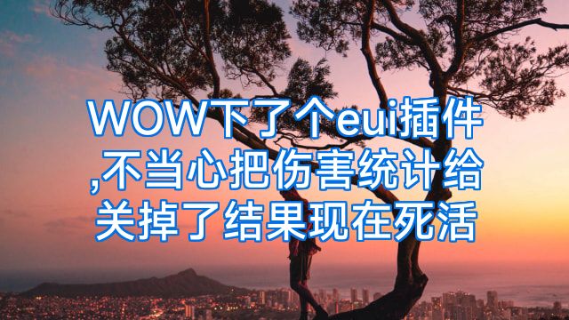 WOW下了个eui插件,不当心把伤害统计给关掉了结果现在死活
