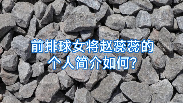 前排球女将赵蕊蕊的个人简介如何?