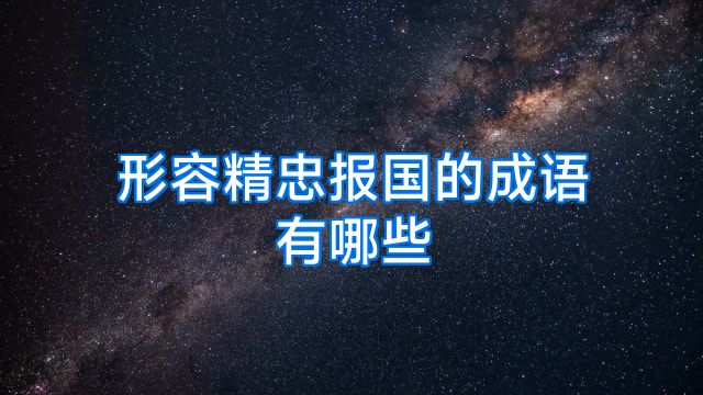 形容精忠报国的成语有哪些