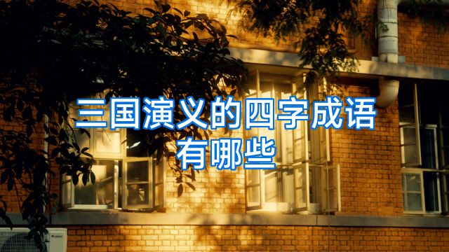 三国演义的四字成语有哪些