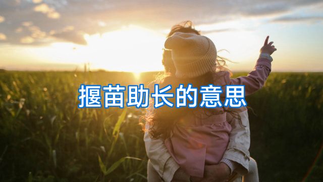 揠苗助长的意思