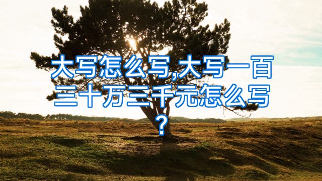 大写怎么写,大写一百三十万三千元怎么写?