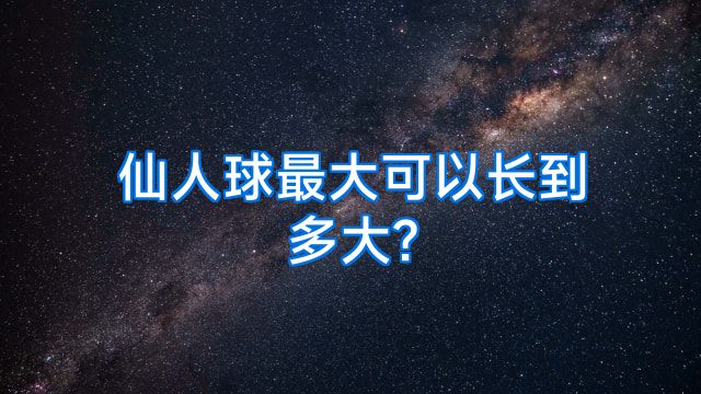 仙人球最大可以长到多大?