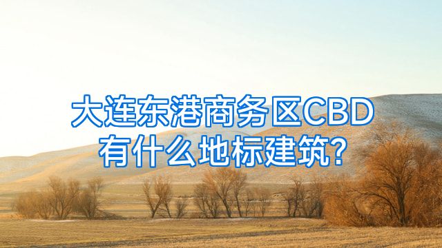 大连东港商务区CBD有什么地标建筑?