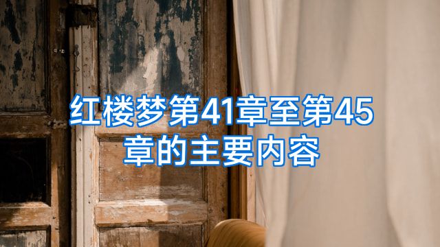 红楼梦第41章至第45章的主要内容