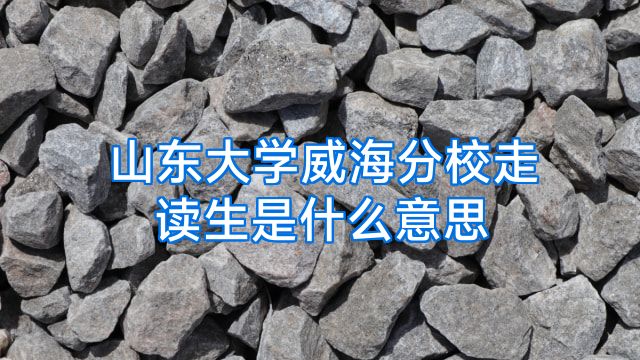 山东大学威海分校走读生是什么意思