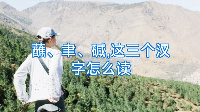 蘸、聿、碱,这三个汉字怎么读