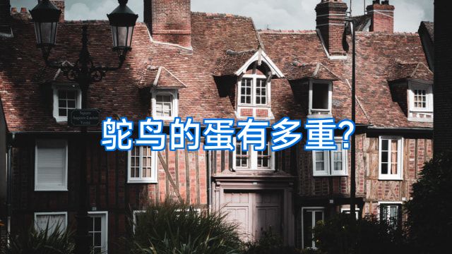 鸵鸟的蛋有多重?