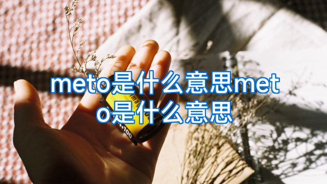 meto是什么意思meto是什么意思