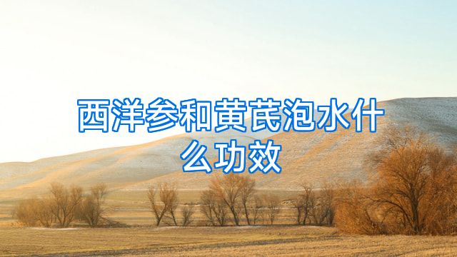 西洋参和黄芪泡水什么功效