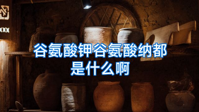 谷氨酸钾谷氨酸纳都是什么啊