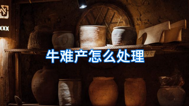 牛难产怎么处理