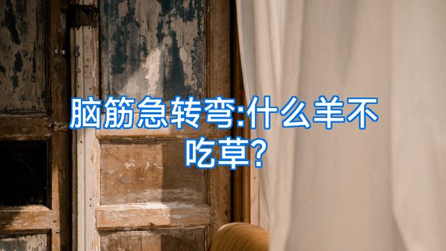 脑筋急转弯:什么羊不吃草?