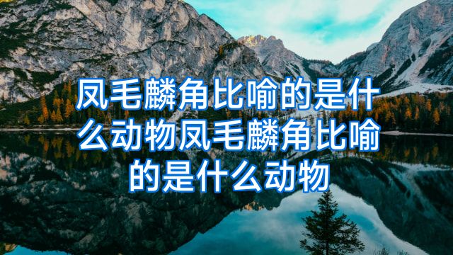 凤毛麟角比喻的是什么动物凤毛麟角比喻的是什么动物