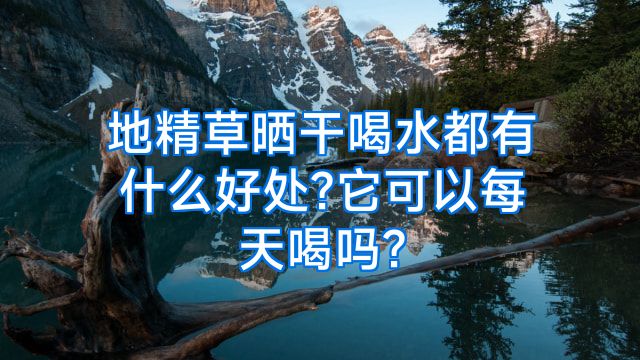地精草晒干喝水都有什么好处?它可以每天喝吗?