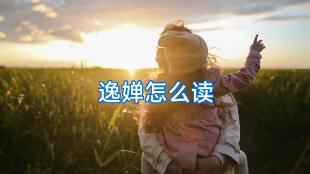 逸婵怎么读