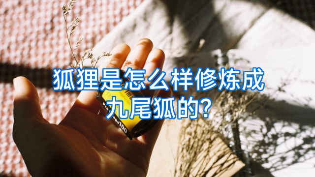 狐狸是怎么样修炼成九尾狐的?