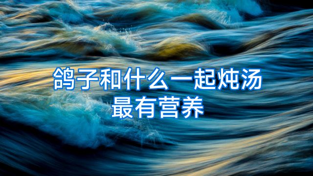 鸽子和什么一起炖汤最有营养