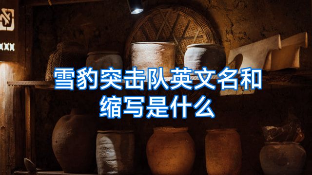 雪豹突击队英文名和缩写是什么