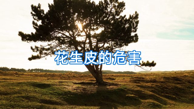 花生皮的危害