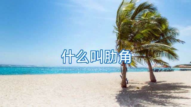 什么叫肋角