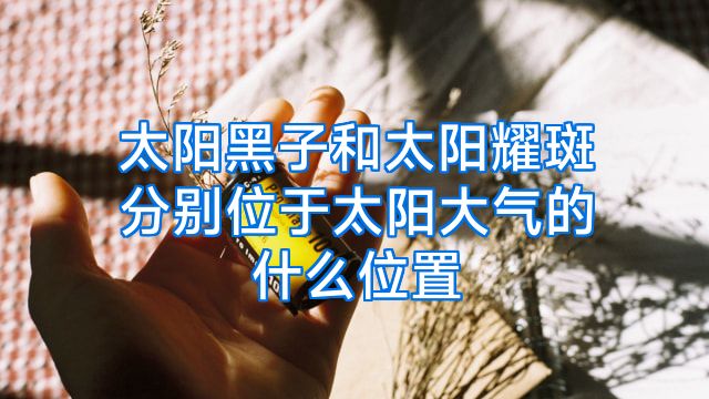 太阳黑子和太阳耀斑分别位于太阳大气的什么位置