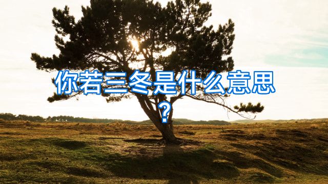 你若三冬是什么意思?