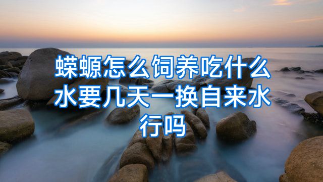 蝾螈怎么饲养吃什么水要几天一换自来水行吗