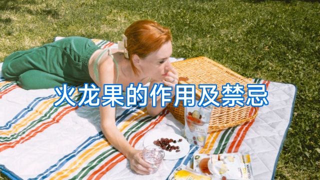 火龙果的作用及禁忌