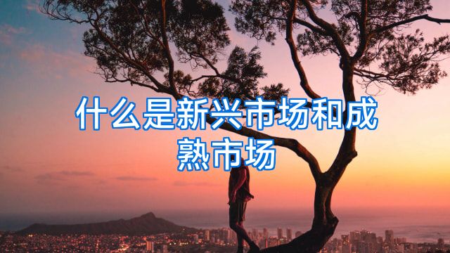 什么是新兴市场和成熟市场