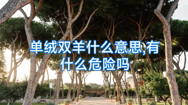 单绒双羊什么意思,有什么危险吗