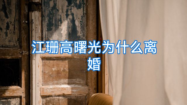 江珊高曙光为什么离婚