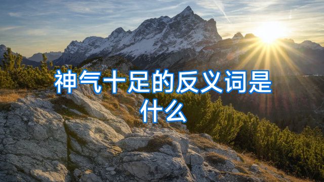 神气十足的反义词是什么