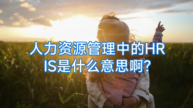 人力资源管理中的HRIS是什么意思啊?