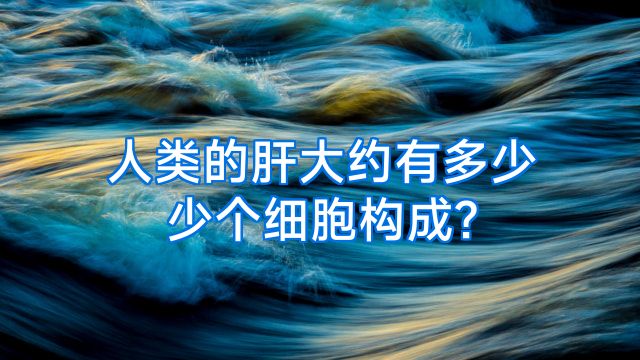 人类的肝大约有多少少个细胞构成?