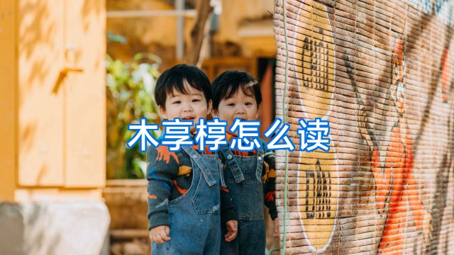 木享椁怎么读
