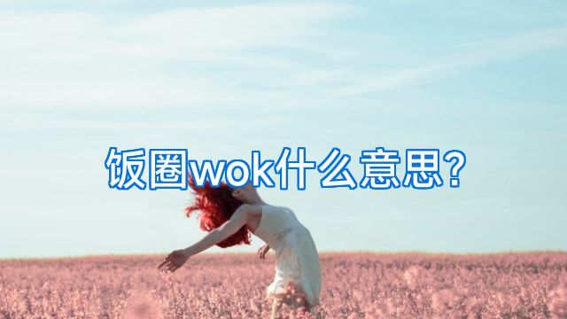 饭圈wok什么意思?