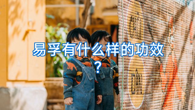 易孚有什么样的功效?