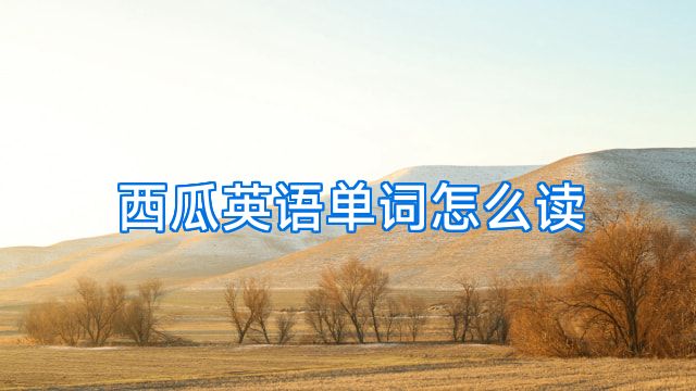 西瓜英语单词怎么读