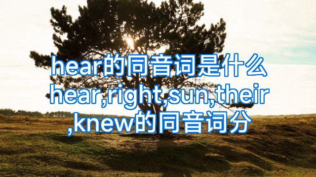 hear的同音词是什么hear,right,sun,their,knew的同音词分