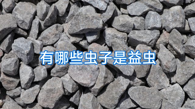有哪些虫子是益虫