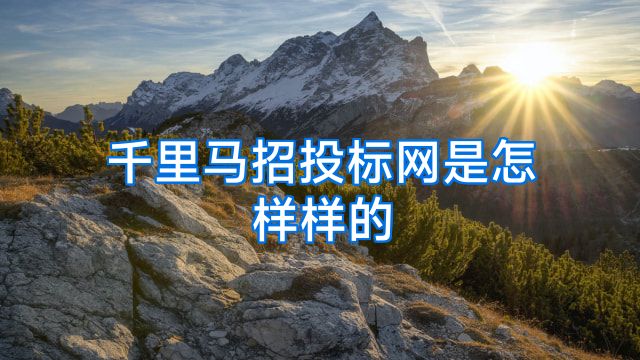 千里马招投标网是怎样样的