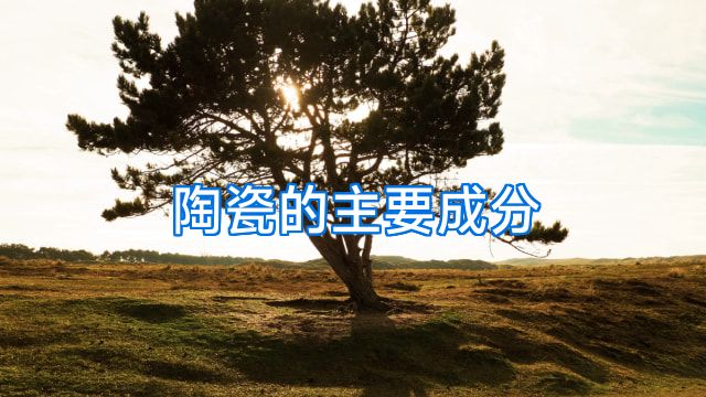 陶瓷的主要成分