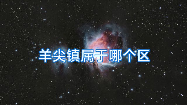 羊尖镇属于哪个区